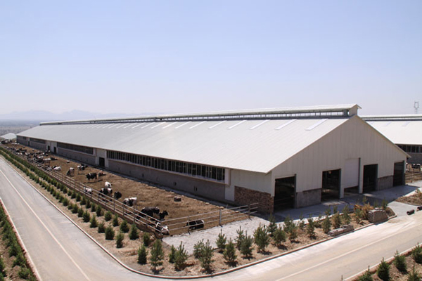 烏拉圭標(biāo)準(zhǔn)養(yǎng)牛場(chǎng)鋼結(jié)構(gòu)廠房